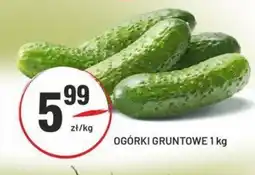Sedal Ogórki gruntowe oferta