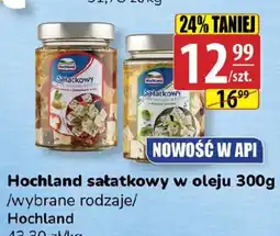 API MARKET Hochland sałatkowy w oleju oferta