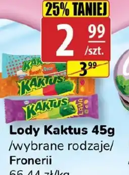 API MARKET Lody Kaktus oferta