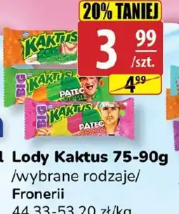 API MARKET Lody Kaktus oferta