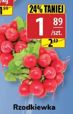 API MARKET Rzodkiewka oferta