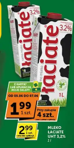 Groszek Mleko Laciate oferta