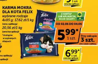 Groszek Karma mokra dla kota Felix oferta