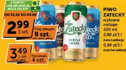 Groszek Piwo Zatecky oferta