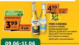 Groszek Piwo Corona oferta
