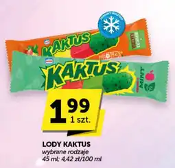 Groszek Lody Kaktus oferta