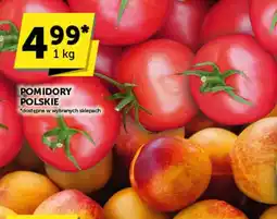Groszek Pomidory polskie oferta