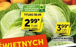 Groszek Kapusta młoda oferta