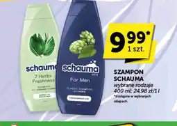 Groszek Szampon Schauma oferta