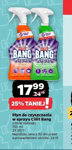 Netto Płyn do czyszczenia w sprayu Cillit Bang oferta