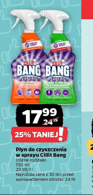 Netto Płyn do czyszczenia w sprayu Cillit Bang oferta
