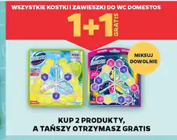 Netto Domestos oferta