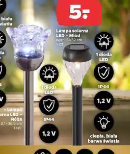 Netto Lampa solarna LEDMiód oferta