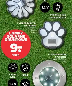 Netto Lampy solarne gruntowe oferta