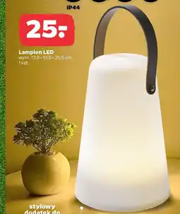 Netto Lamplon LED oferta