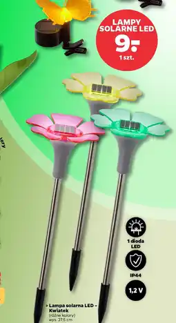 Netto Lampa solarna LEDKwiatek oferta
