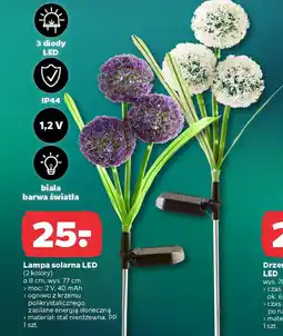 Netto Lampa solarna LED oferta