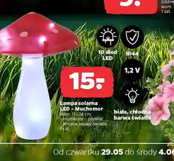 Netto Lampa solarna LEDMuchomor oferta
