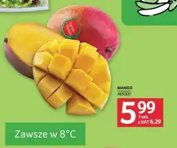 Selgros Mango oferta