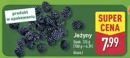 ALDI Jeżyny oferta