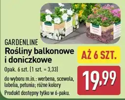 GARDENLINE Rośliny balkonowe i doniczkowe