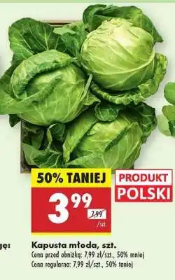 Biedronka Kapusta młoda szt oferta