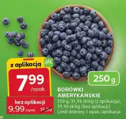 Stokrotka Express Borówki amerykańskie oferta