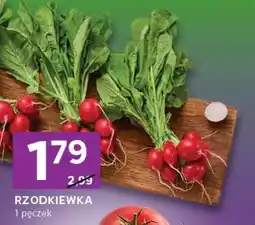 Rzodkiewka