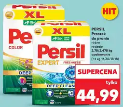 Kaufland Persil proszek do prania oferta