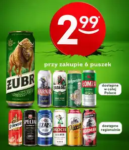 Żabka Piwo oferta