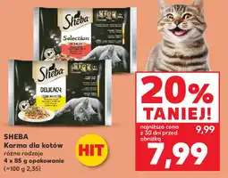 Kaufland Sheba karma dla kotów oferta