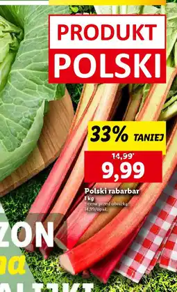Lidl Polski rabarbar oferta