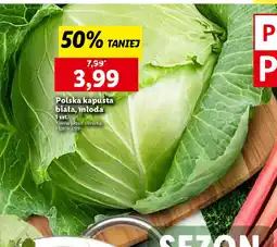 Lidl Polska kapusta biała, młoda oferta
