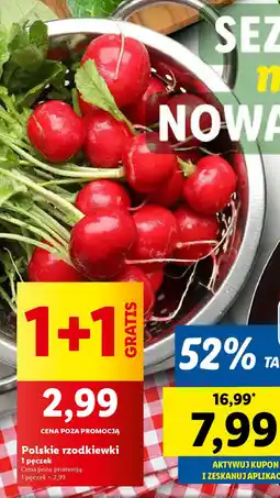 Lidl Polskie rzodkiewki oferta