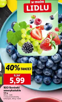 Lidl Bio borówki amerykańskie oferta