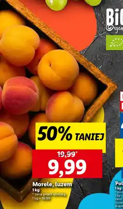 Lidl Morele, luzem oferta
