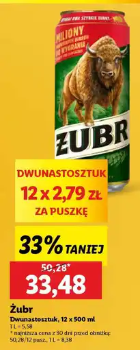 Żubr