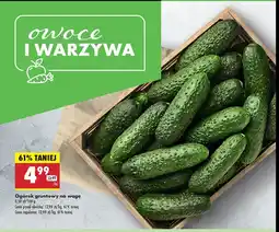 Biedronka Ogórki gruntowe oferta