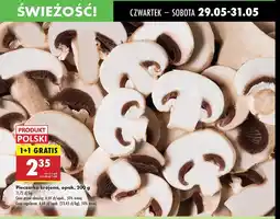 Biedronka Pieczarki krojone oferta