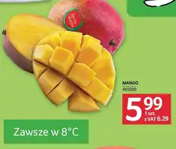 Selgros Mango 1 szt. Selgros oferta