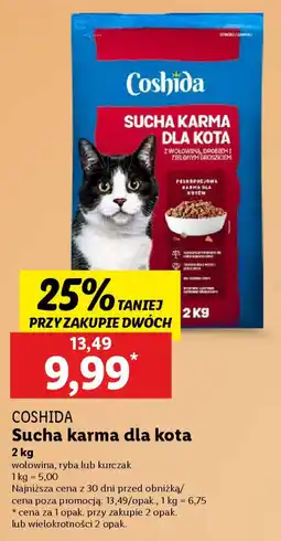 Lidl Coshida sucha karma dla kota oferta