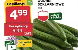 Stokrotka Market Ogórki Hit oferta