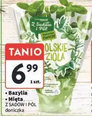 Intermarche Mięta Z Sadów I Pól oferta
