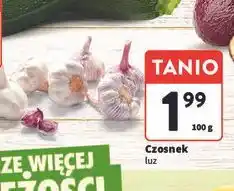 Intermarche Czosnek oferta