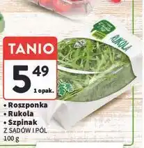 Intermarche Szpinak młody Z Sadów I Pól oferta