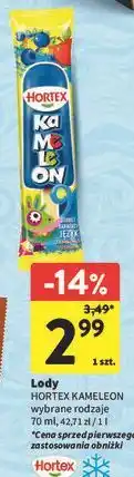 Intermarche Lody kameleon Hortex oferta