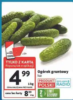 Intermarche Ogórek gruntowy polska oferta