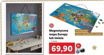 Lidl Magnetyczna mapa Europy lub świata oferta