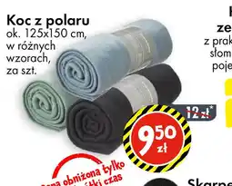 Tedi Koc z polaru oferta