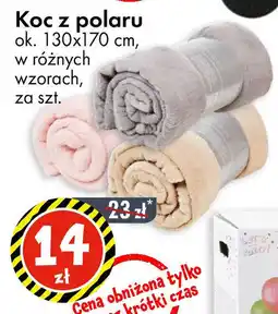 Koc z polaru